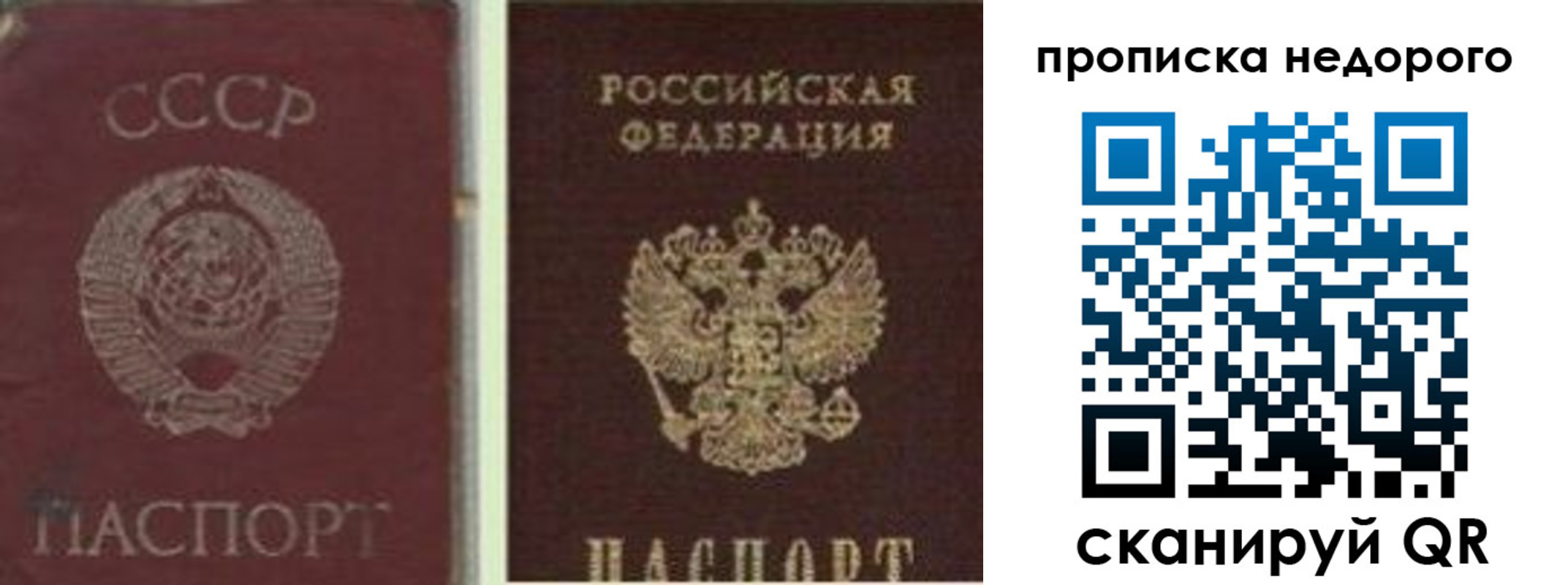 временная регистрация поиск в Чайковском